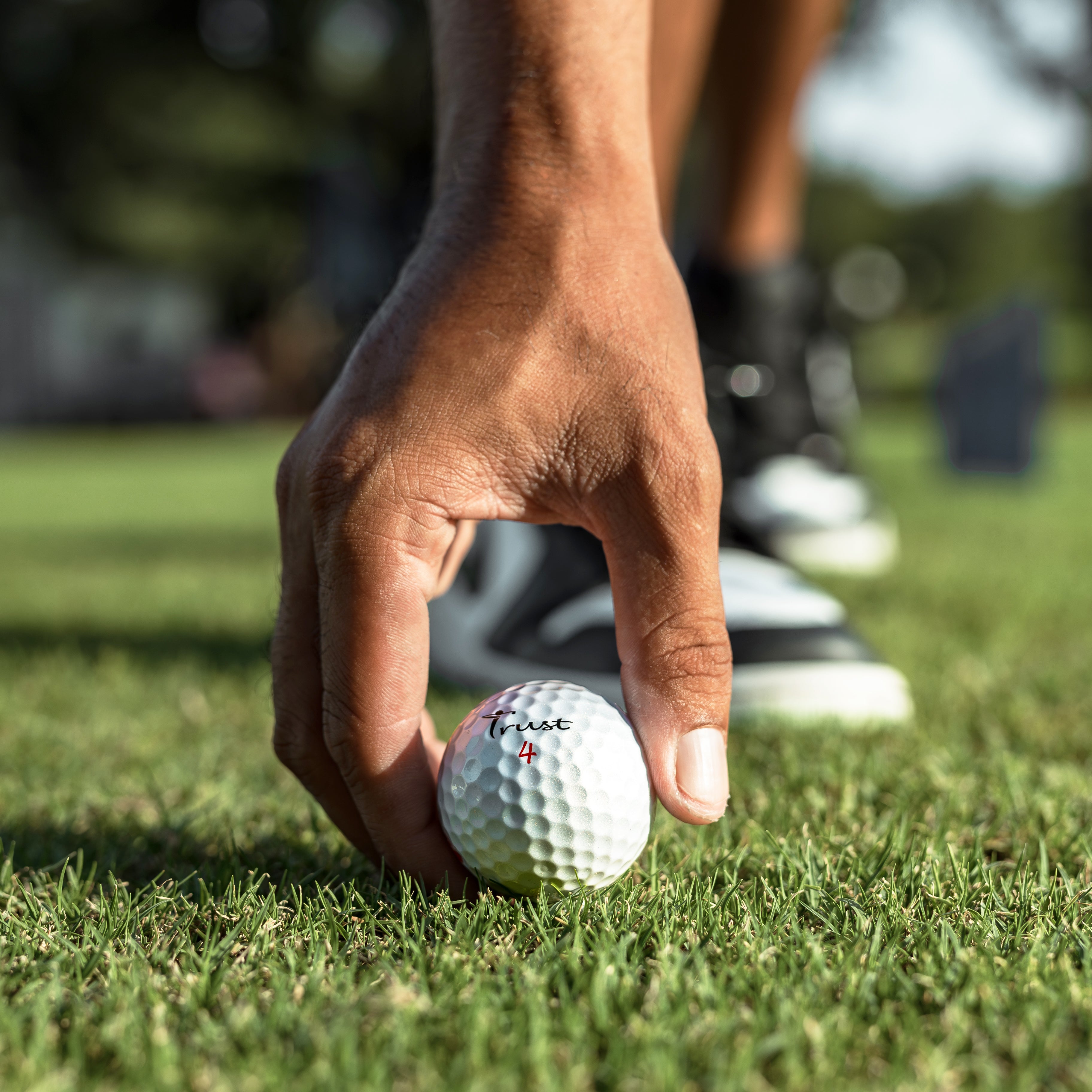 Bison Power Series – Trust Golf Japan